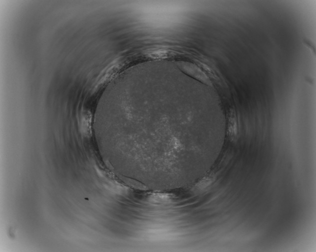 X0000101710332200807101611