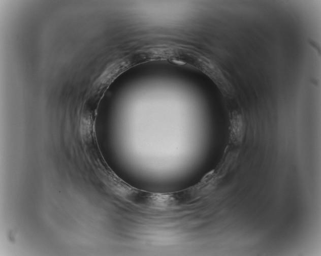 X0000101710333200807101611