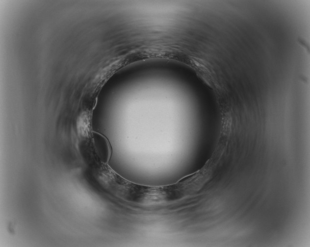 X0000101710335200807101610