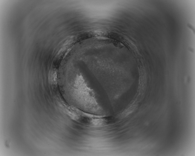 X0000101710336200807101610