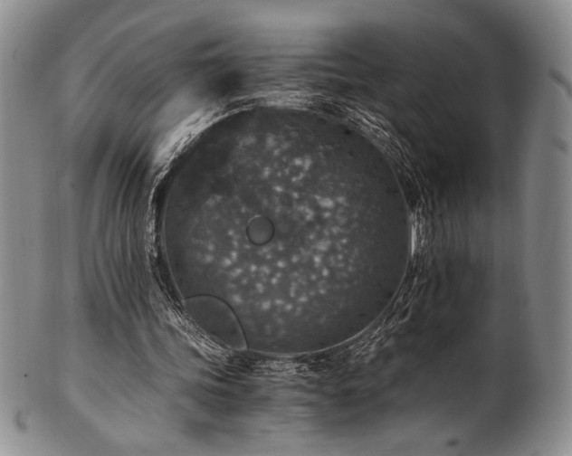 X0000101710339200807101610