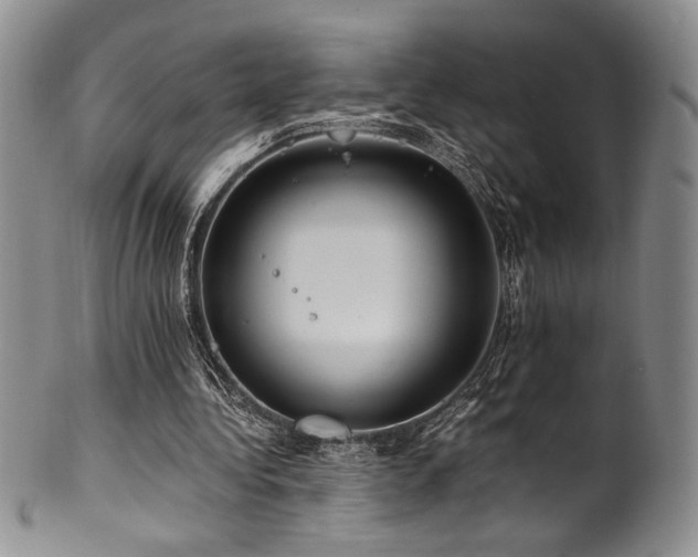 X0000101710340200807101610