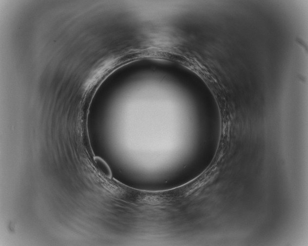 X0000101710341200807101610