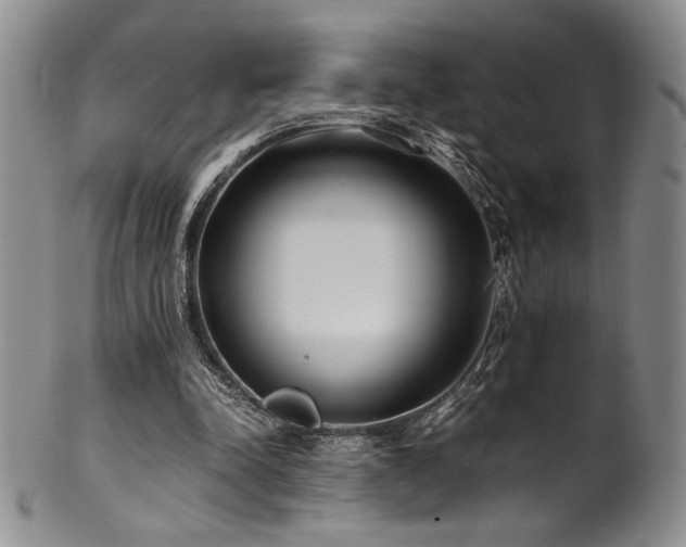 X0000101710342200807101610