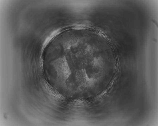 X0000101710343200807101610