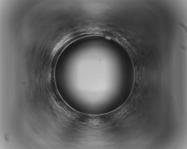 X0000101710344200807101610