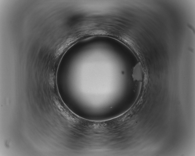 X0000101710345200807101610