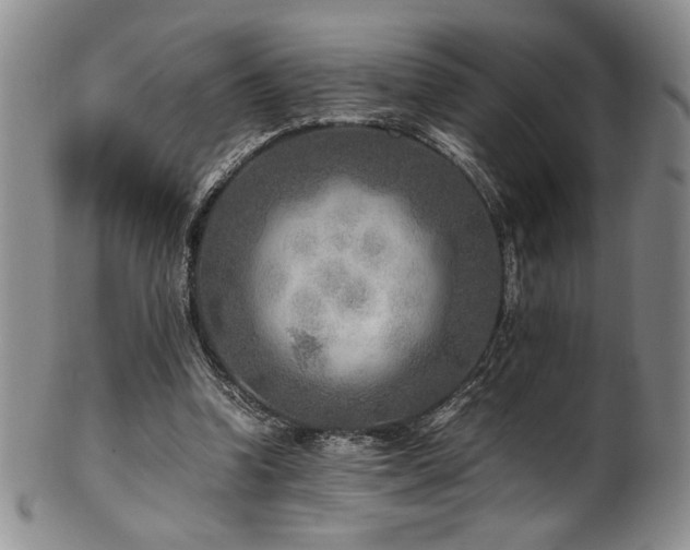 X0000101710346200807101610