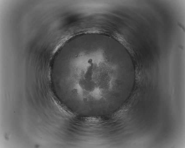 X0000101710347200807101610