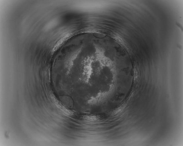 X0000101710349200807101610