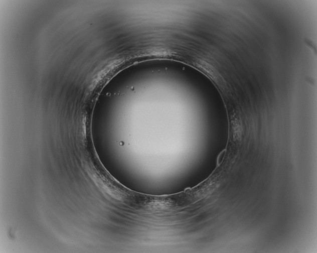 X0000101710350200807101610