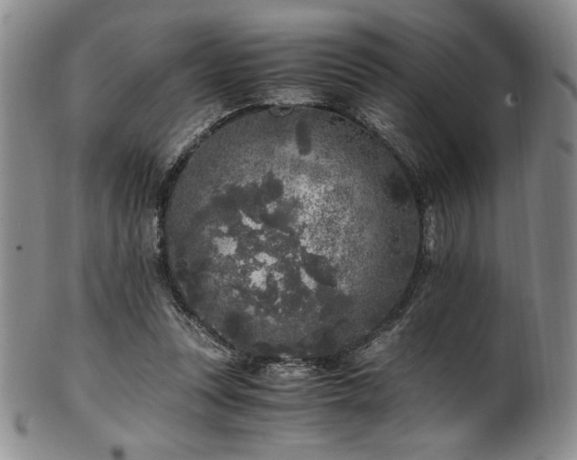 X0000101710351200807101610