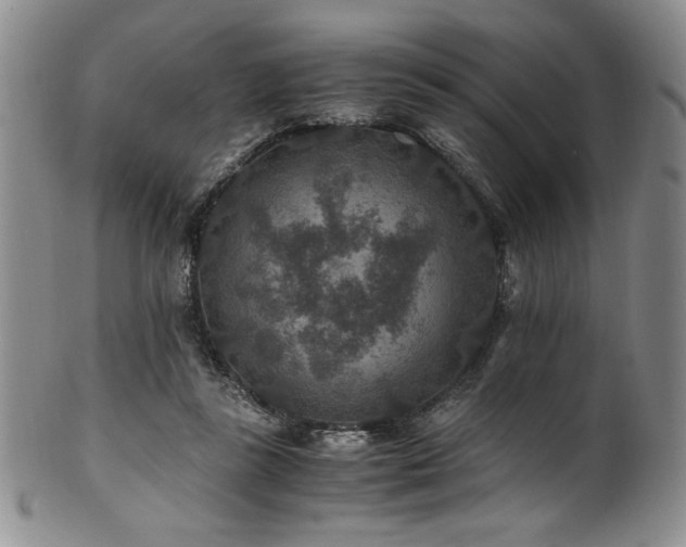 X0000101710355200807101610