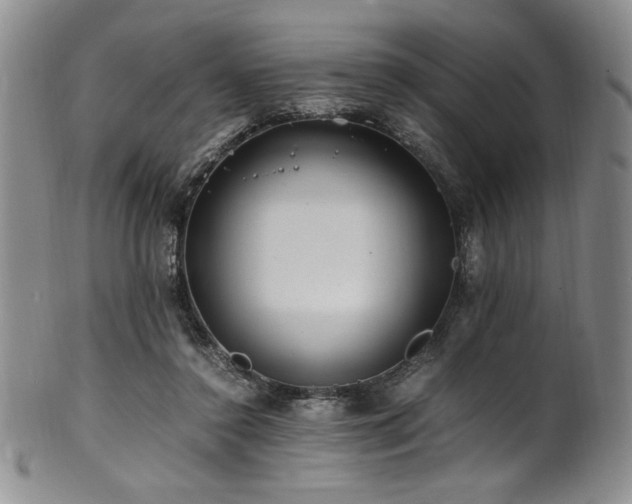X0000101710356200807101610