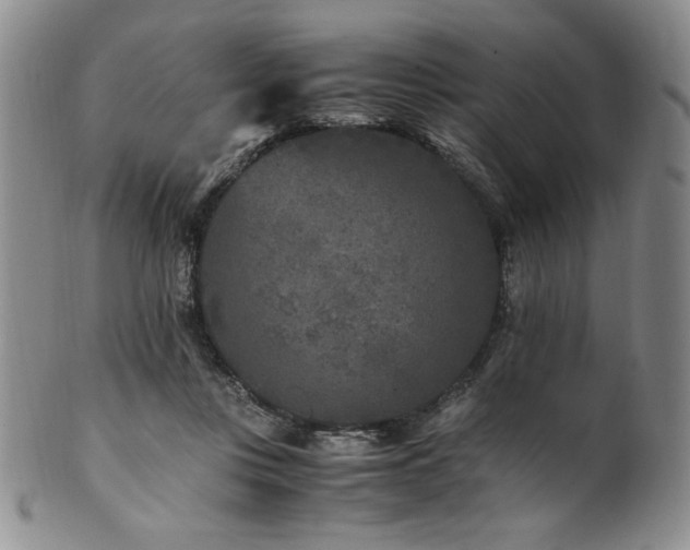 X0000101710359200807101610