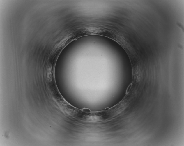 X0000101710360200807101610