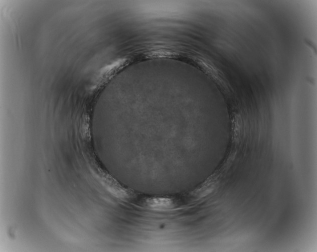 X0000101710361200807101610