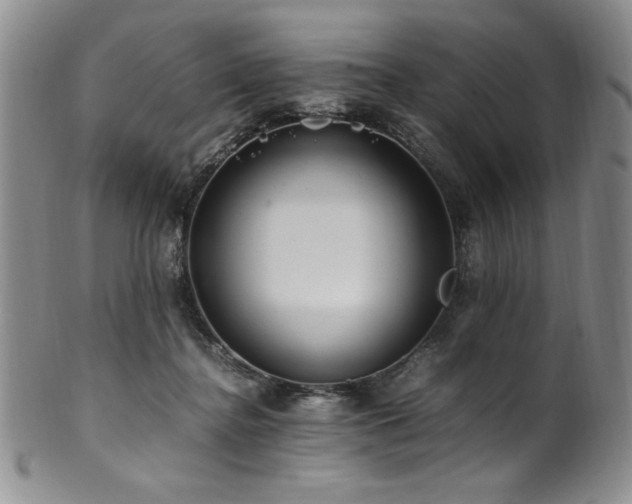 X0000101710364200807101610