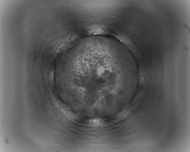 X0000101710365200807101610