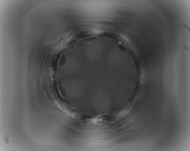 X0000101710366200807101610