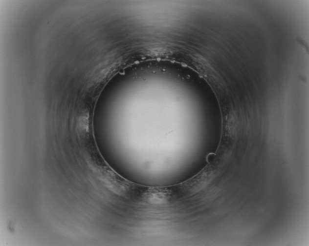 X0000101710368200807101610