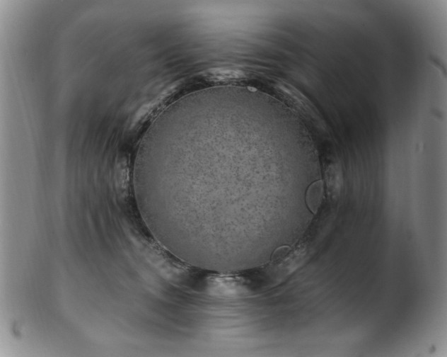 X0000101710372200807101610