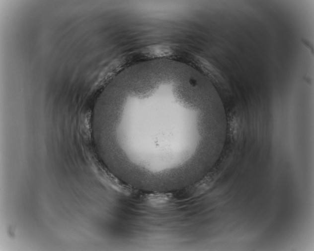 X0000101710373200807101610