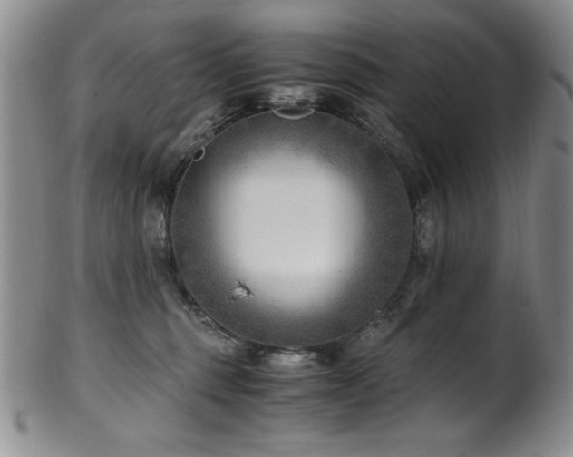 X0000101710375200807101610