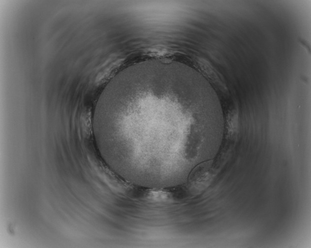 X0000101710376200807101610