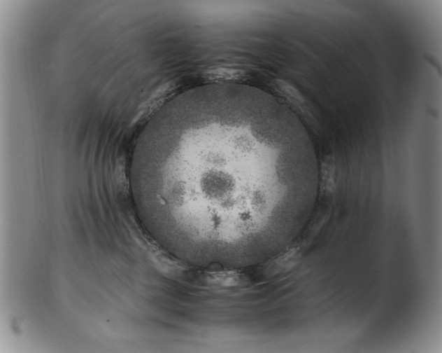 X0000101710377200807101610