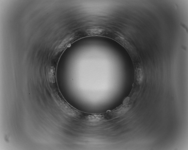 X0000101710378200807101610