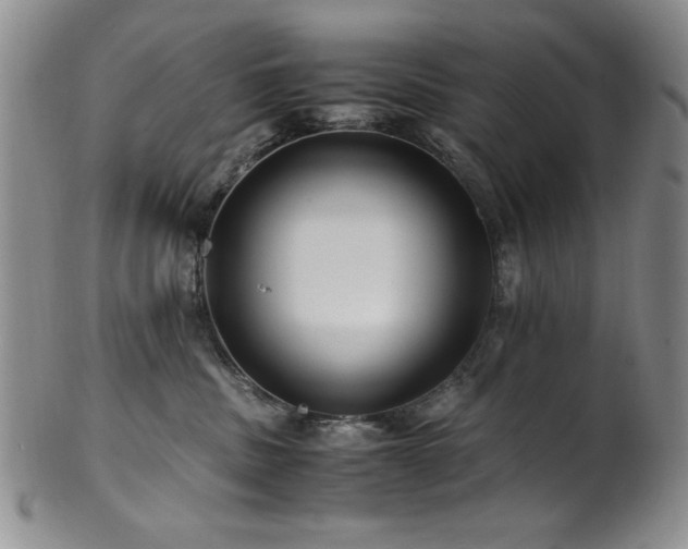 X0000101710379200807101610