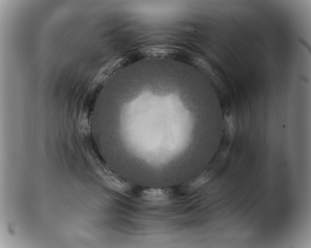 X0000101710381200807101610