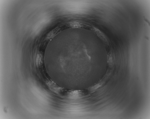 X0000101710382200807101610