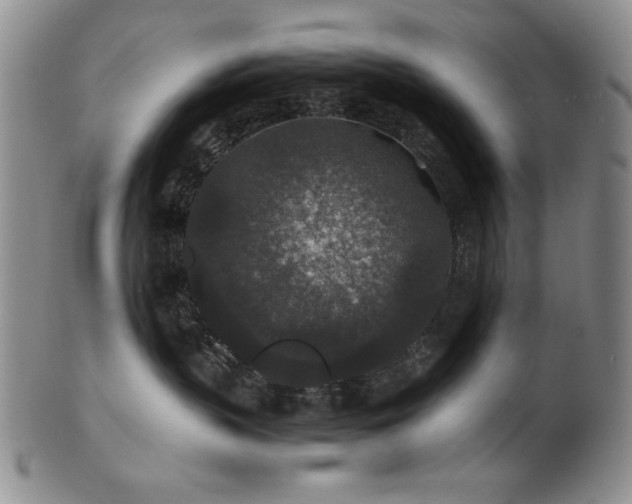 X0000101710383200807101610