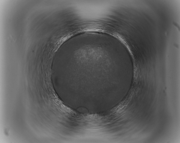 X0000101710385200807101610