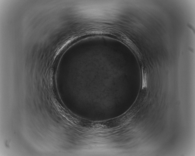 X0000101710387200807101610