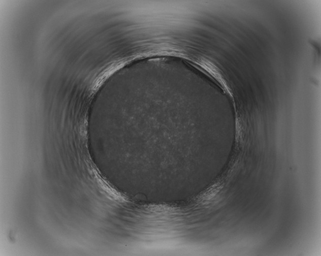 X0000101710389200807101610