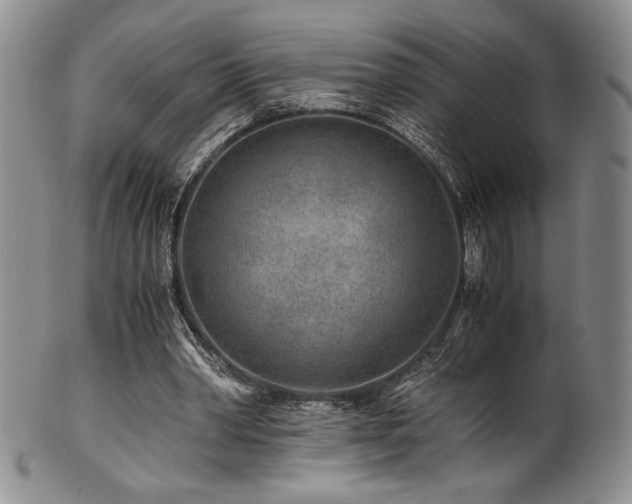 X0000101710390200807101610