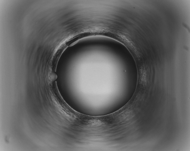 X0000101710392200807101610