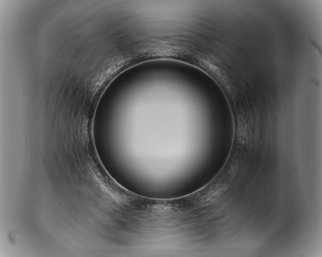 X0000101710394200807101610