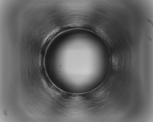 X0000101710396200807101610