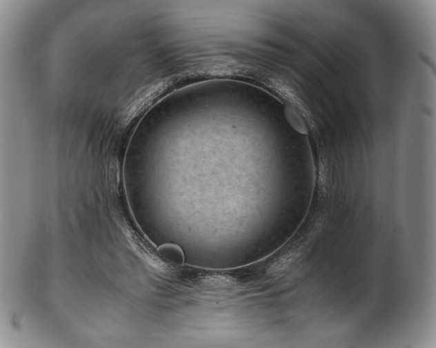 X0000101710397200807101610