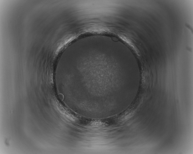 X0000101710399200807101610