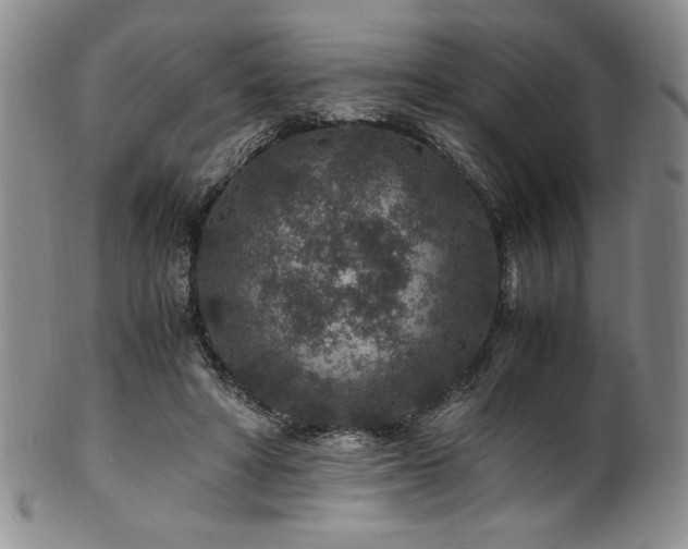 X0000101710402200807101610