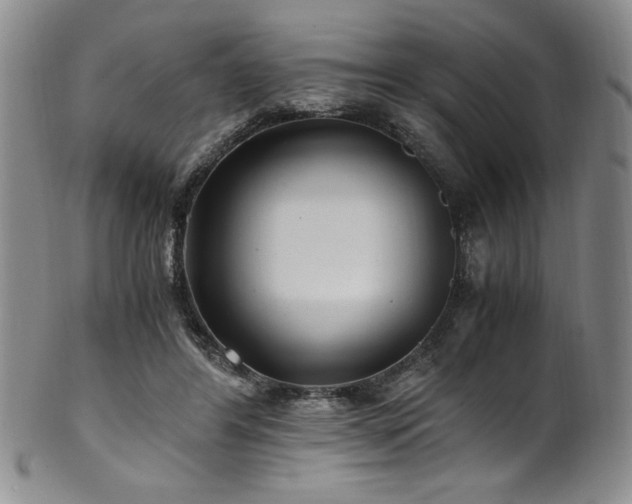 X0000101710404200807101609