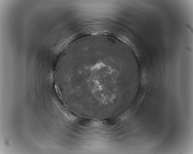 X0000101710405200807101609