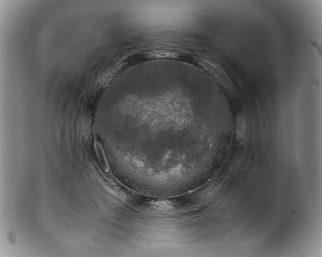 X0000101710409200807101609