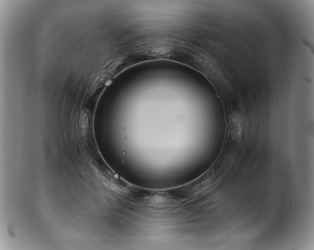 X0000101710412200807101609