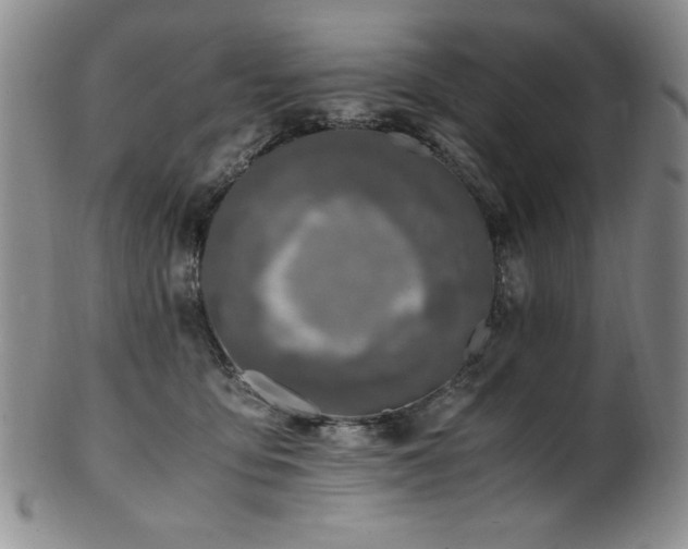 X0000101710419200807101609